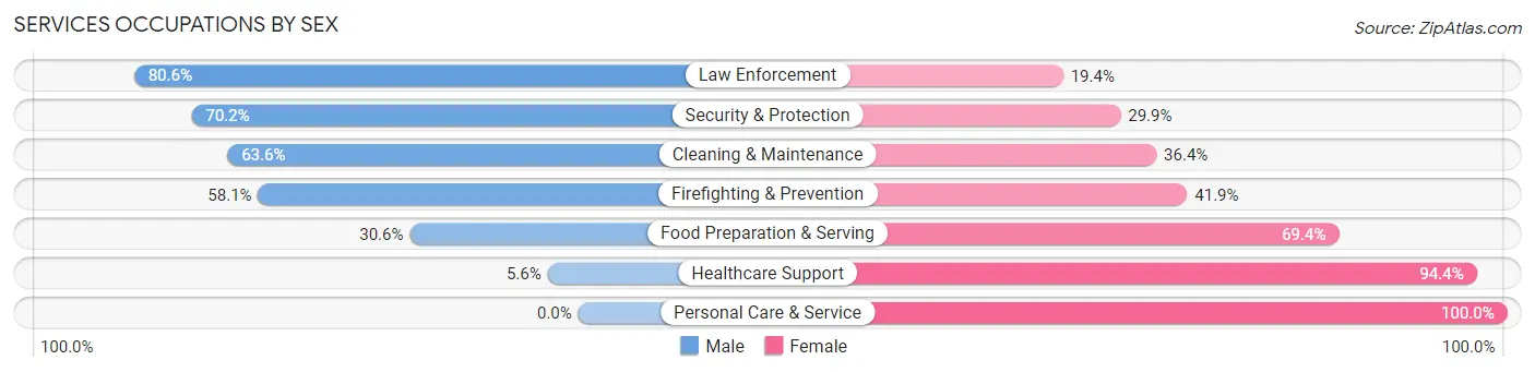 Services Occupations by Sex in Zip Code 13438