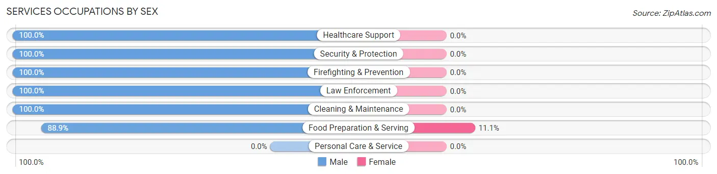 Services Occupations by Sex in Zip Code 13470