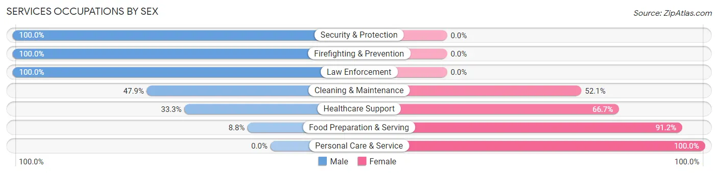 Services Occupations by Sex in Zip Code 13471