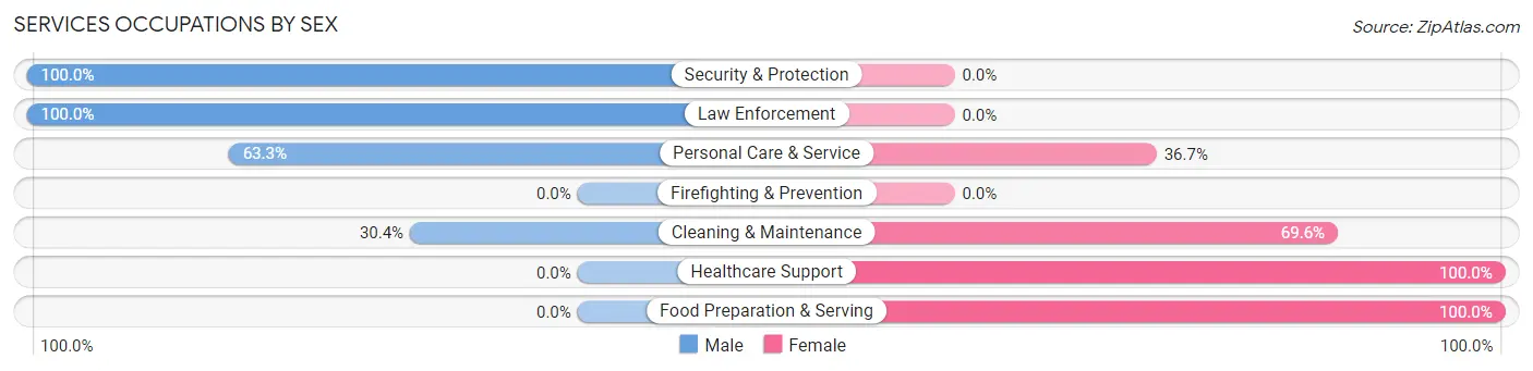 Services Occupations by Sex in Zip Code 13477