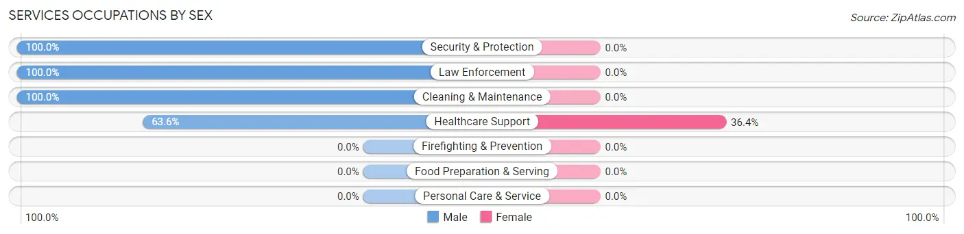 Services Occupations by Sex in Zip Code 13490