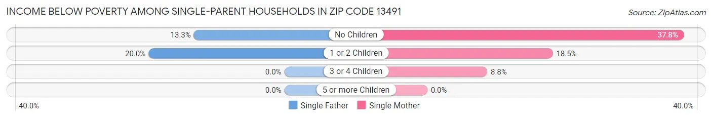 Income Below Poverty Among Single-Parent Households in Zip Code 13491