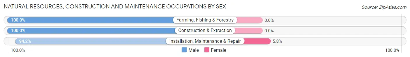Natural Resources, Construction and Maintenance Occupations by Sex in Zip Code 13492