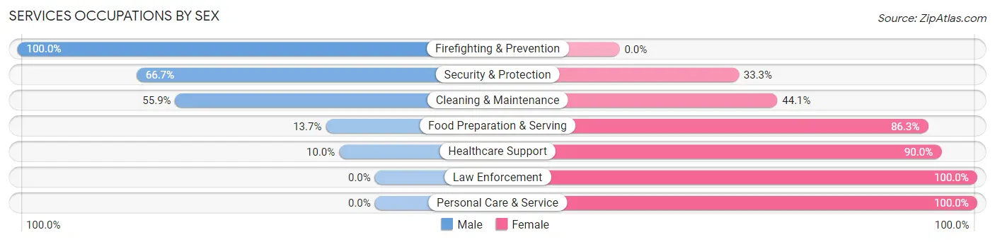 Services Occupations by Sex in Zip Code 13493