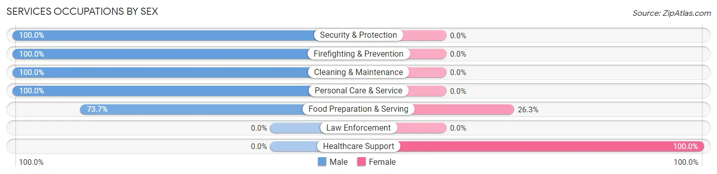 Services Occupations by Sex in Zip Code 13495