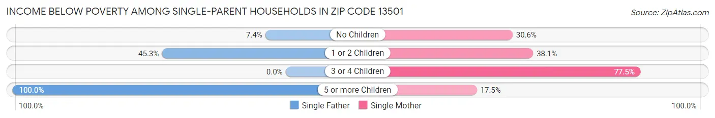 Income Below Poverty Among Single-Parent Households in Zip Code 13501