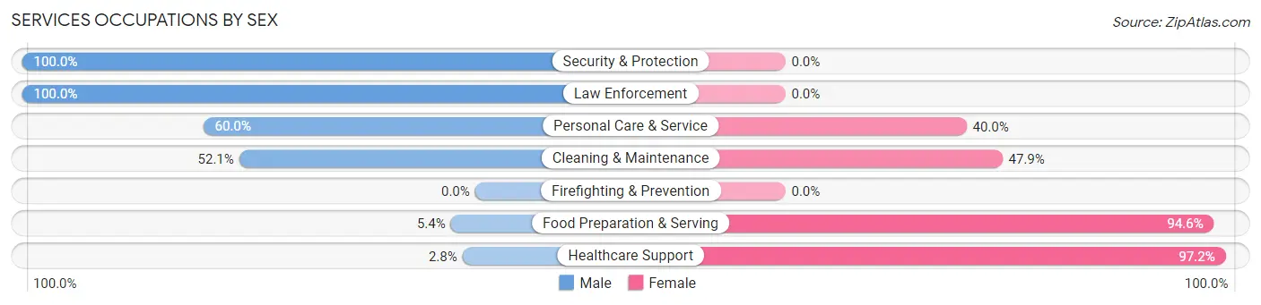 Services Occupations by Sex in Zip Code 13607