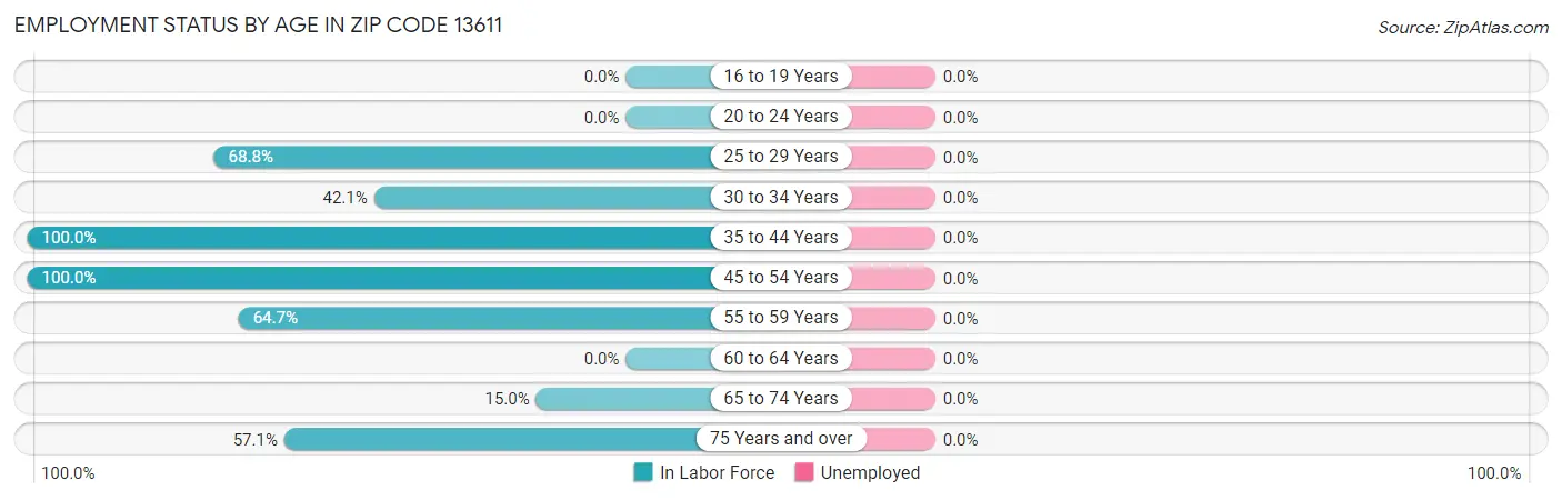 Employment Status by Age in Zip Code 13611