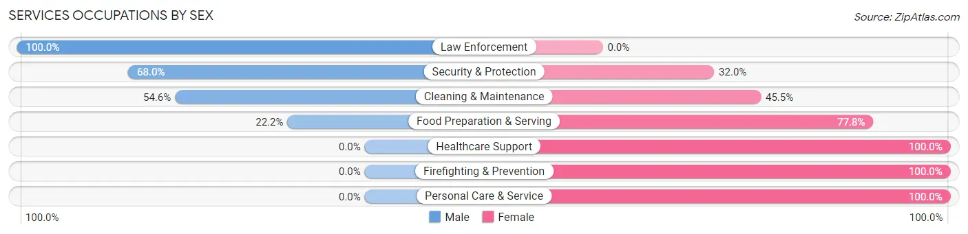 Services Occupations by Sex in Zip Code 13612