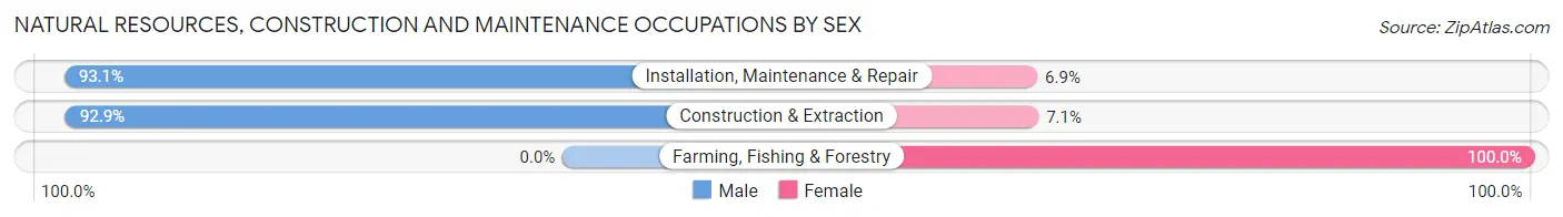 Natural Resources, Construction and Maintenance Occupations by Sex in Zip Code 13617