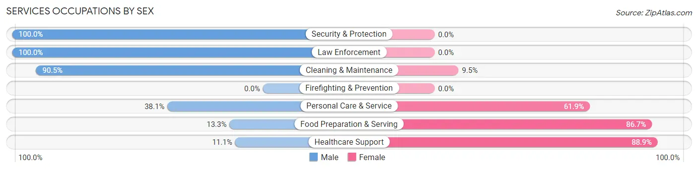 Services Occupations by Sex in Zip Code 13620