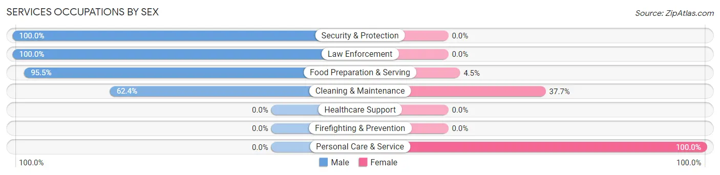 Services Occupations by Sex in Zip Code 13630