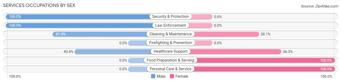 Services Occupations by Sex in Zip Code 13635
