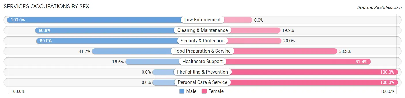 Services Occupations by Sex in Zip Code 13652