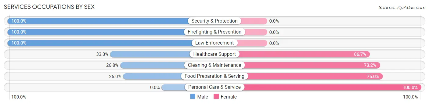 Services Occupations by Sex in Zip Code 13656