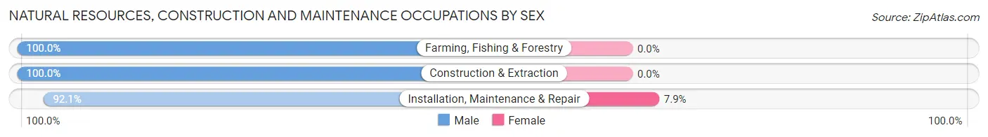 Natural Resources, Construction and Maintenance Occupations by Sex in Zip Code 13660