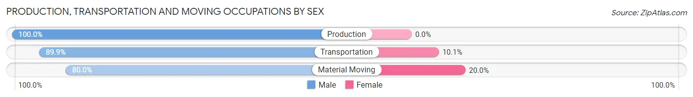 Production, Transportation and Moving Occupations by Sex in Zip Code 13668