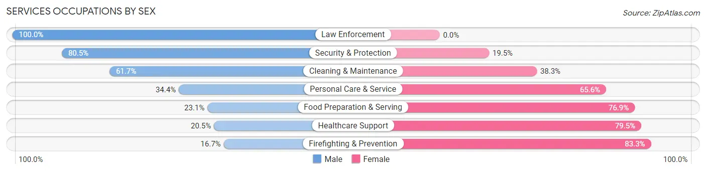 Services Occupations by Sex in Zip Code 13673