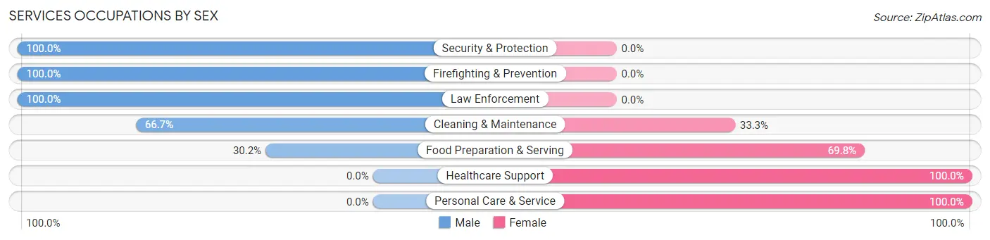 Services Occupations by Sex in Zip Code 13685