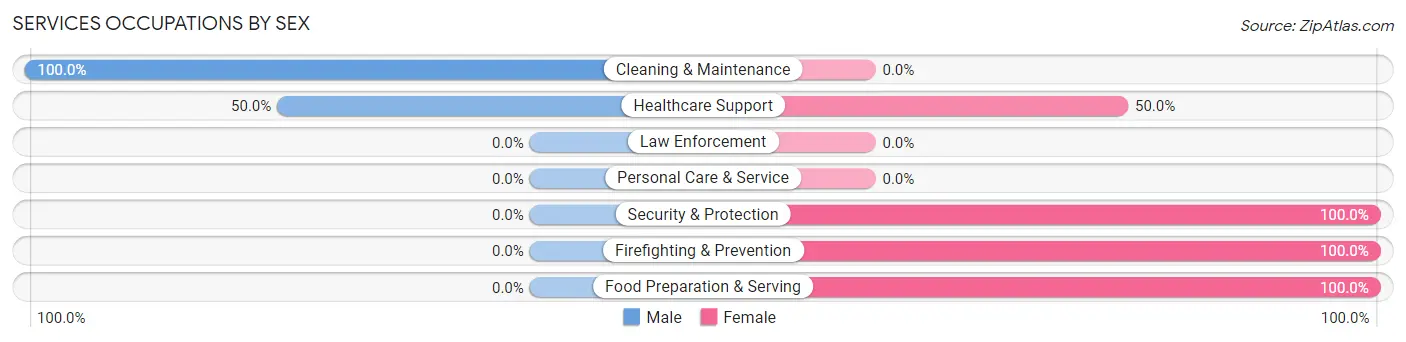 Services Occupations by Sex in Zip Code 13690