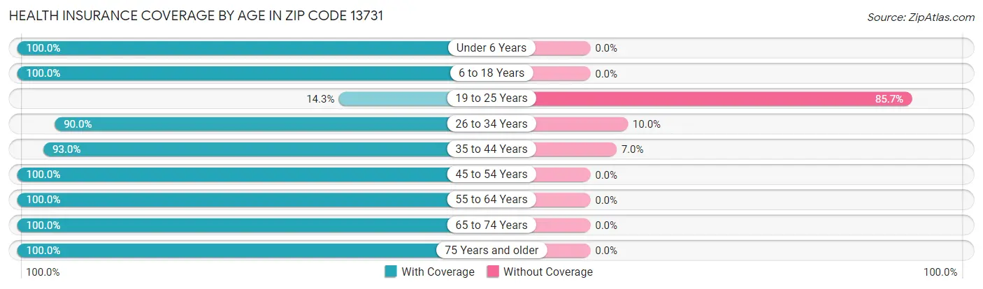 Health Insurance Coverage by Age in Zip Code 13731