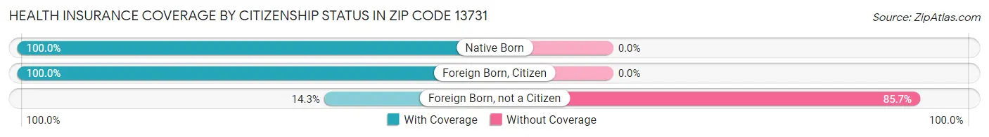 Health Insurance Coverage by Citizenship Status in Zip Code 13731