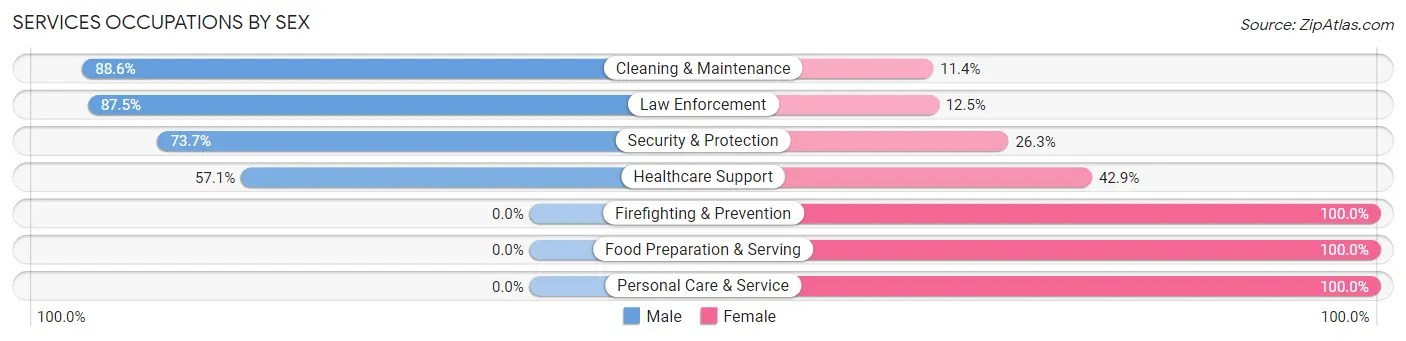 Services Occupations by Sex in Zip Code 13731