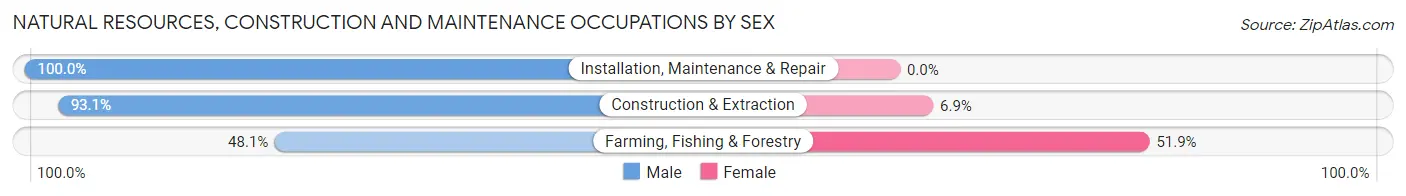 Natural Resources, Construction and Maintenance Occupations by Sex in Zip Code 13732