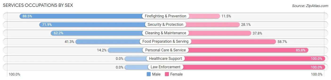 Services Occupations by Sex in Zip Code 13732
