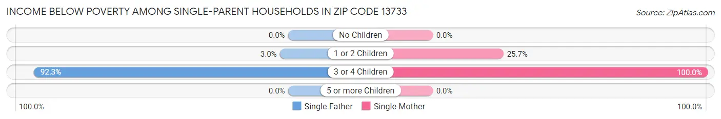 Income Below Poverty Among Single-Parent Households in Zip Code 13733