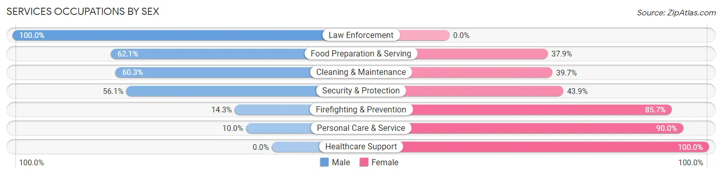 Services Occupations by Sex in Zip Code 13733