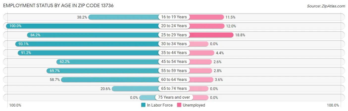 Employment Status by Age in Zip Code 13736