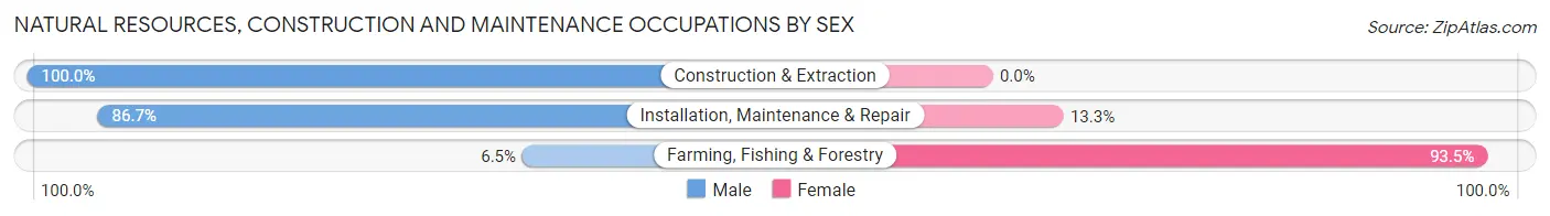 Natural Resources, Construction and Maintenance Occupations by Sex in Zip Code 13736