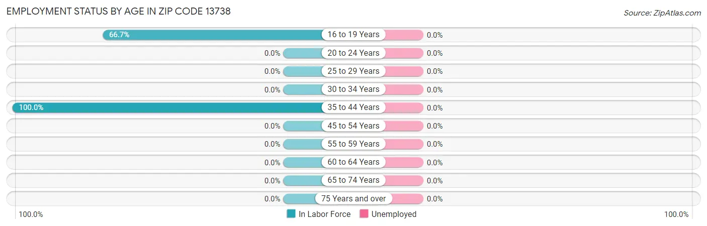 Employment Status by Age in Zip Code 13738