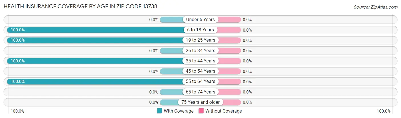 Health Insurance Coverage by Age in Zip Code 13738