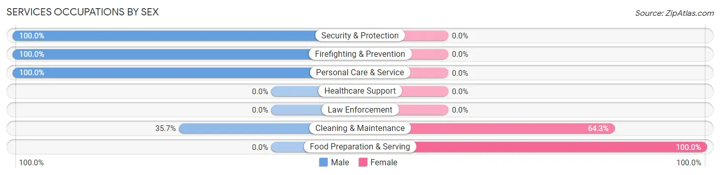 Services Occupations by Sex in Zip Code 13739