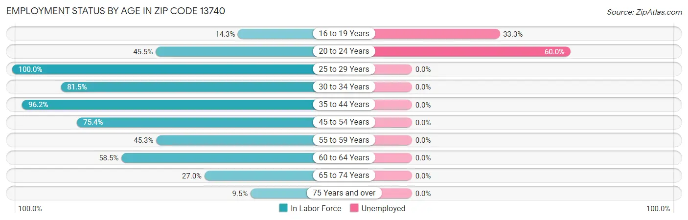 Employment Status by Age in Zip Code 13740