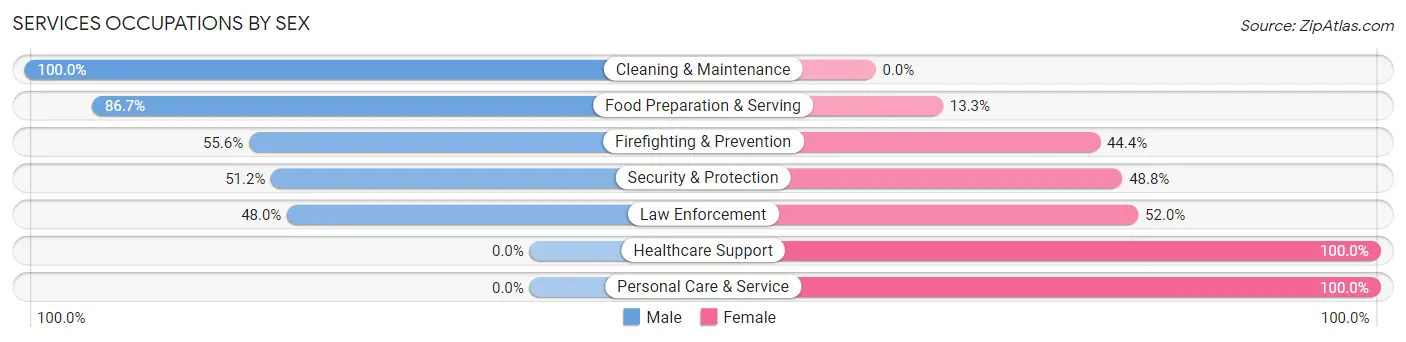 Services Occupations by Sex in Zip Code 13744