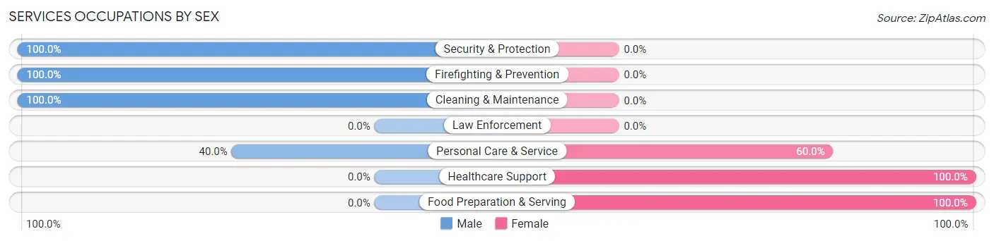 Services Occupations by Sex in Zip Code 13750
