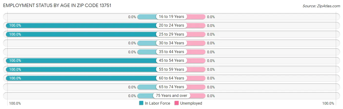 Employment Status by Age in Zip Code 13751