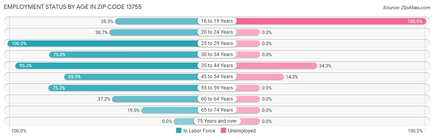 Employment Status by Age in Zip Code 13755