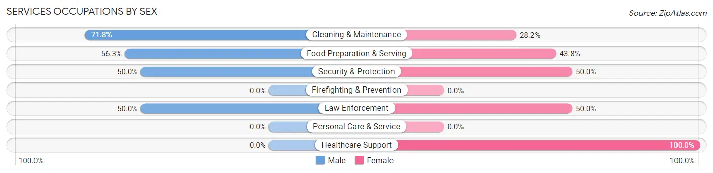 Services Occupations by Sex in Zip Code 13755