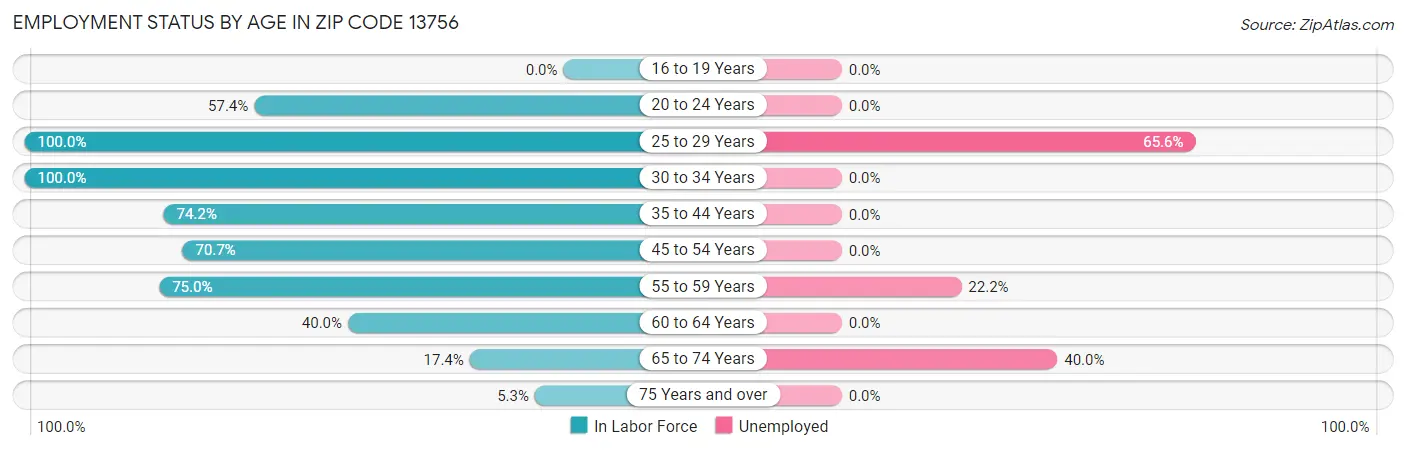 Employment Status by Age in Zip Code 13756