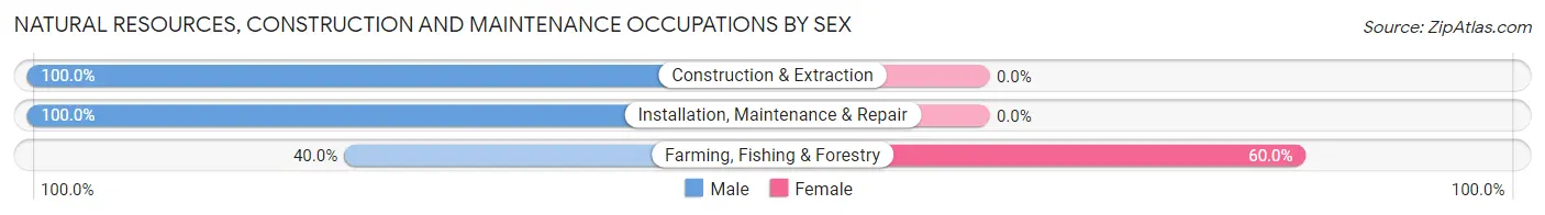 Natural Resources, Construction and Maintenance Occupations by Sex in Zip Code 13760