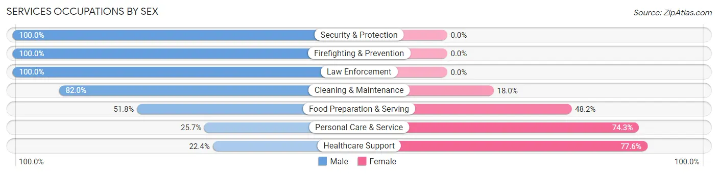 Services Occupations by Sex in Zip Code 13760
