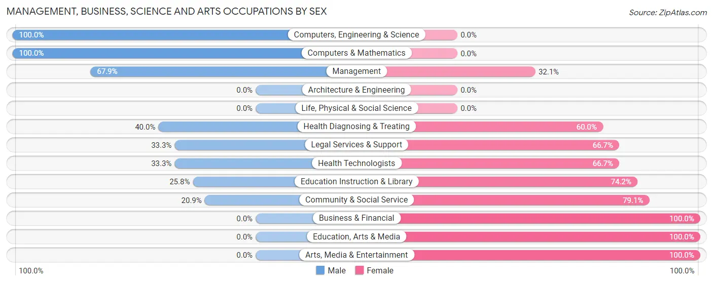 Management, Business, Science and Arts Occupations by Sex in Zip Code 13776