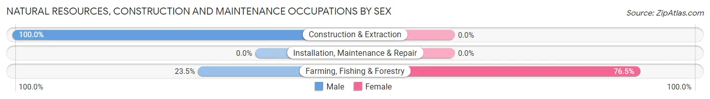 Natural Resources, Construction and Maintenance Occupations by Sex in Zip Code 13776