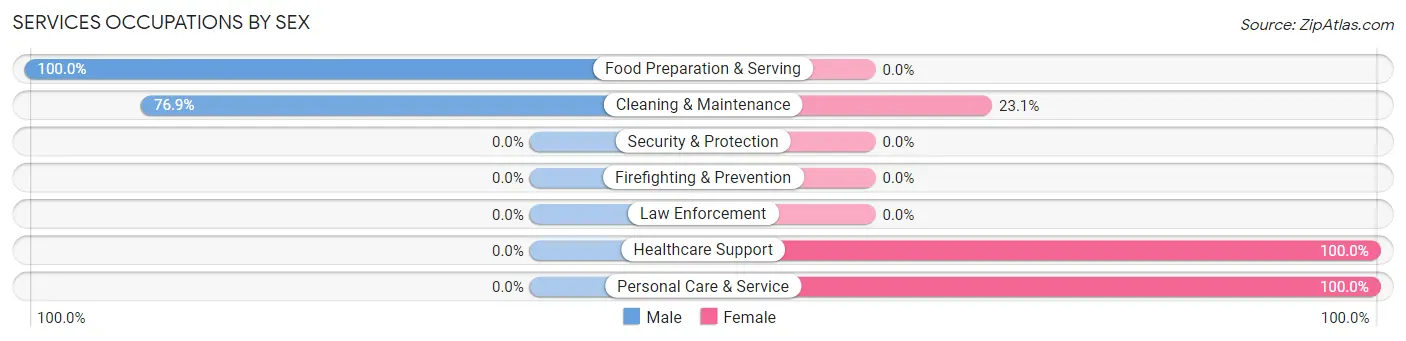 Services Occupations by Sex in Zip Code 13796