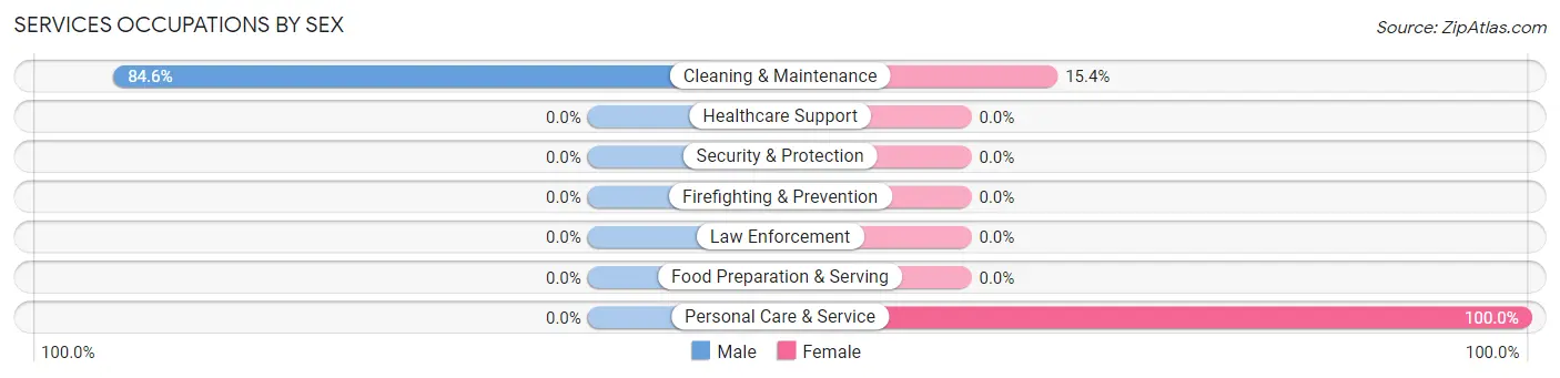 Services Occupations by Sex in Zip Code 13802