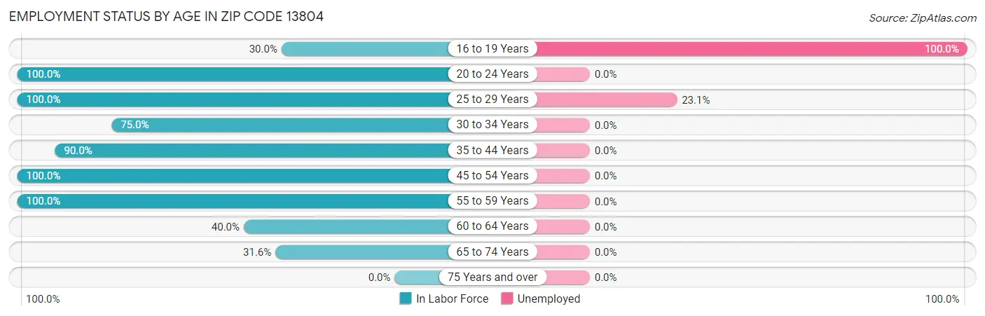 Employment Status by Age in Zip Code 13804